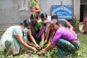 OLHF প্রকল্পে কর্ম এলাকায় বনজ ফলজ চারা বিতরণ